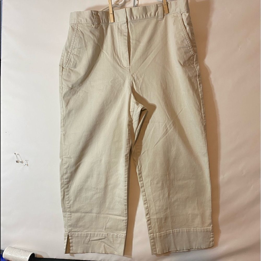 Karen Scott Capri or Cropped Pants NWOT